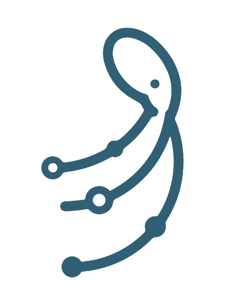 Octupus logo
